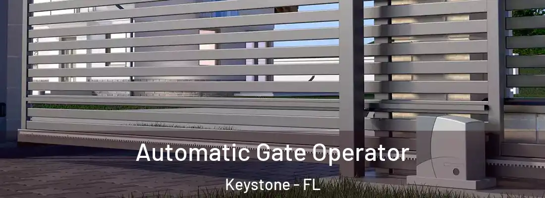 Automatic Gate Operator Keystone - FL