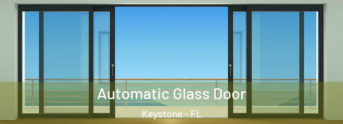 Automatic Glass Door Keystone - FL