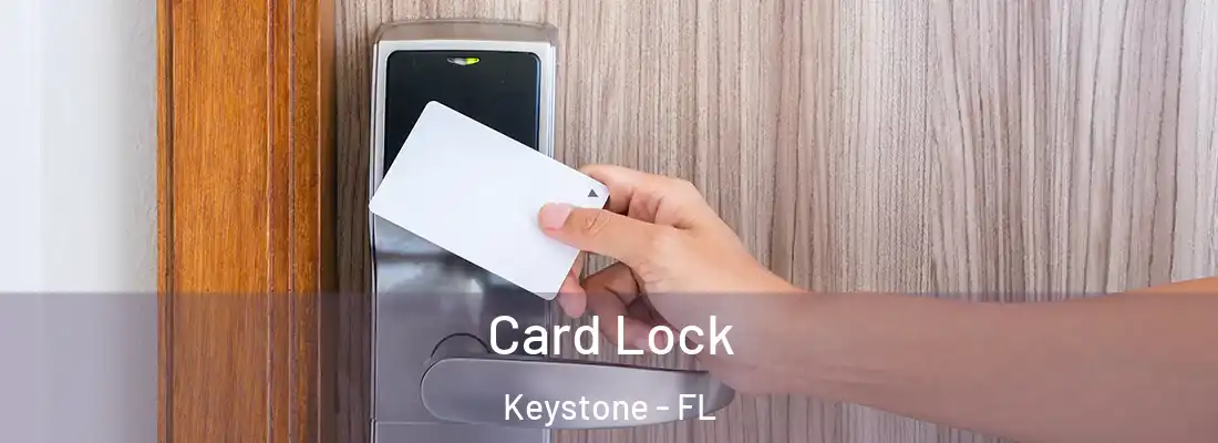 Card Lock Keystone - FL