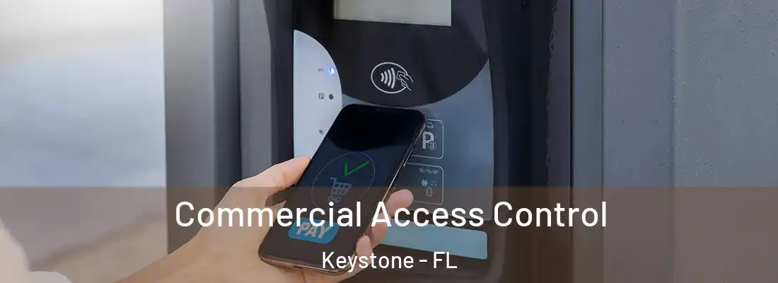 Commercial Access Control Keystone - FL