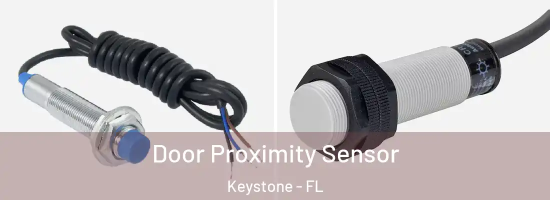 Door Proximity Sensor Keystone - FL