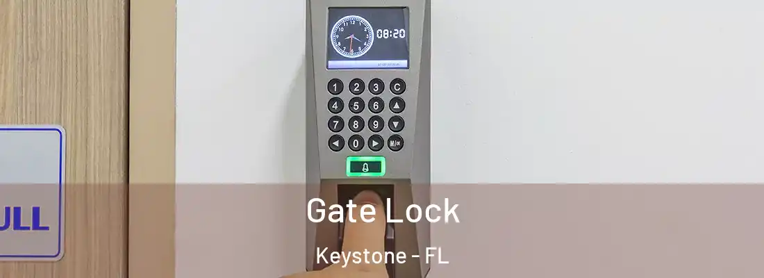Gate Lock Keystone - FL