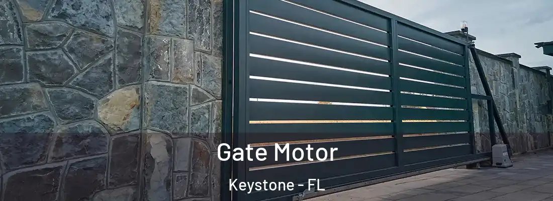 Gate Motor Keystone - FL
