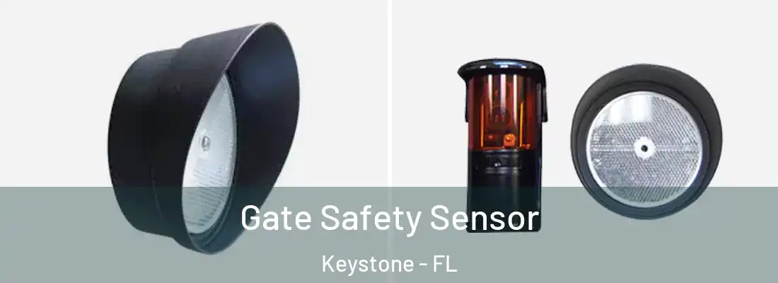 Gate Safety Sensor Keystone - FL