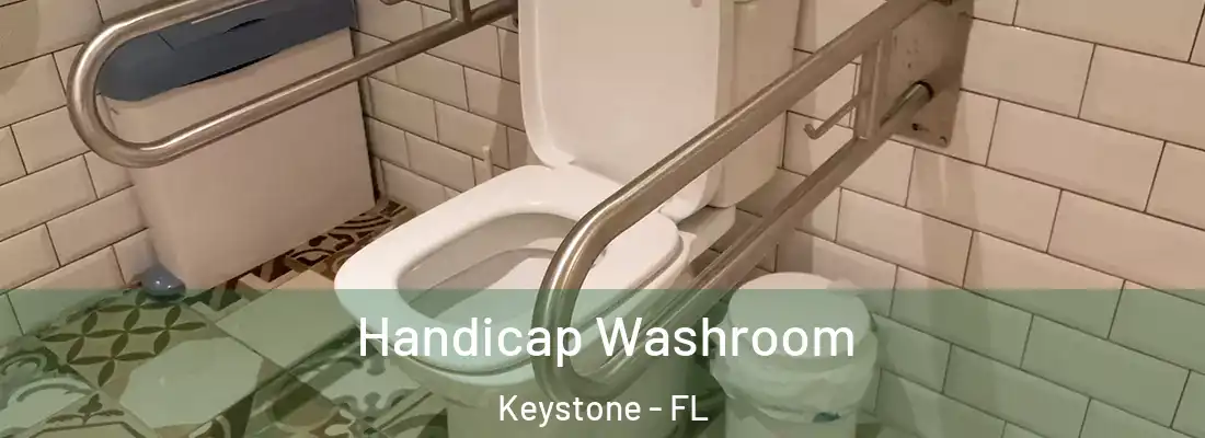 Handicap Washroom Keystone - FL