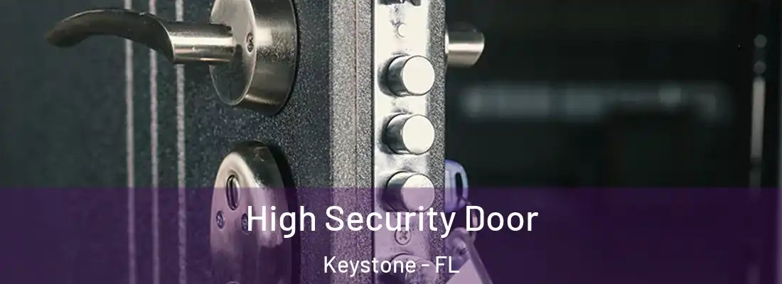 High Security Door Keystone - FL
