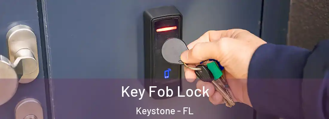 Key Fob Lock Keystone - FL