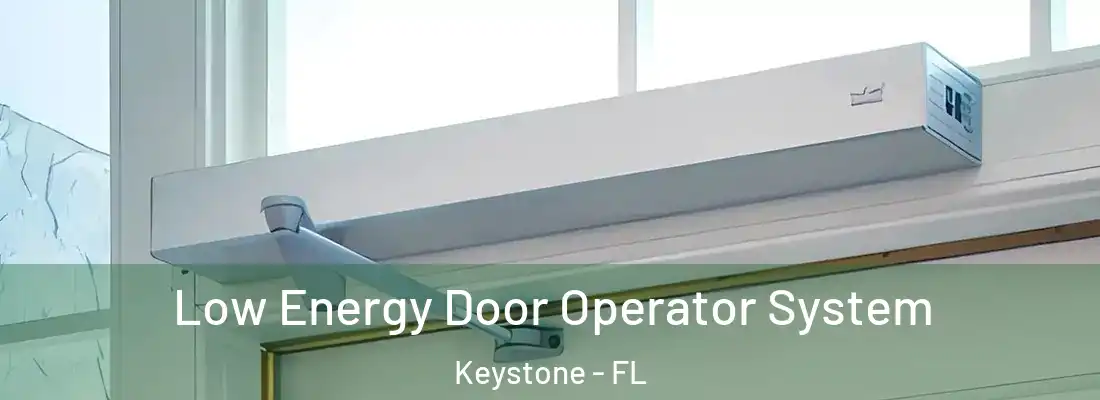 Low Energy Door Operator System Keystone - FL