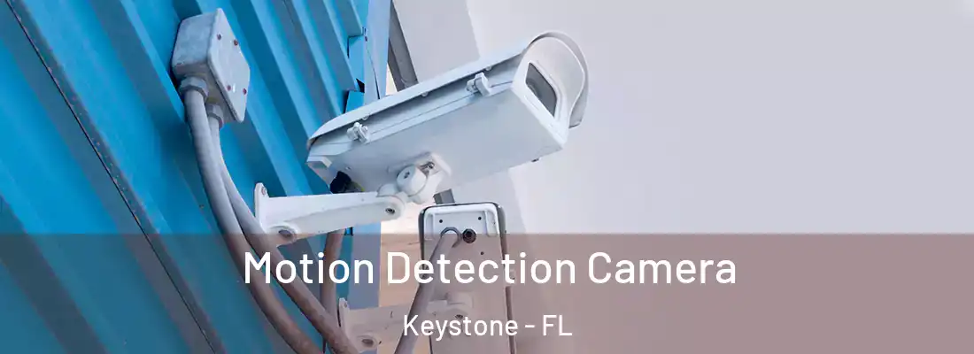 Motion Detection Camera Keystone - FL