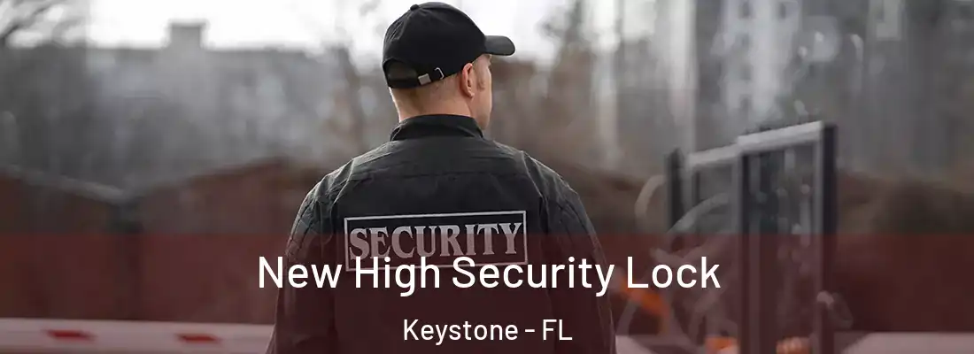 New High Security Lock Keystone - FL