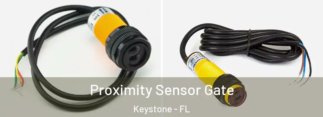 Proximity Sensor Gate Keystone - FL