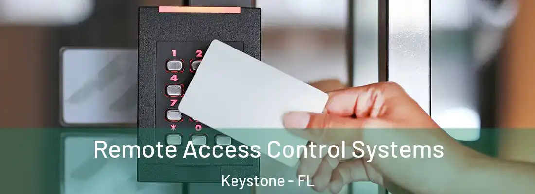 Remote Access Control Systems Keystone - FL