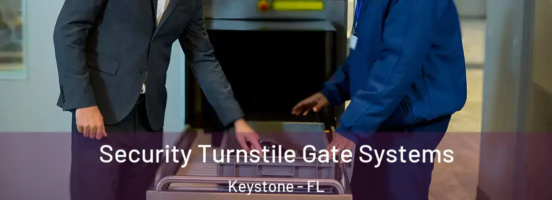 Security Turnstile Gate Systems Keystone - FL